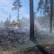 Įsivyravus sausrai, miškuose didėja gaisrų pavojus