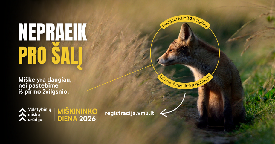 miškininkų diena