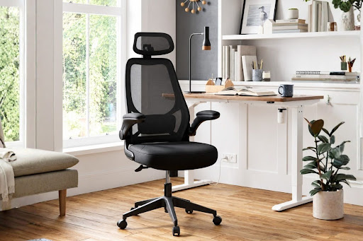 ergonominė kėdė